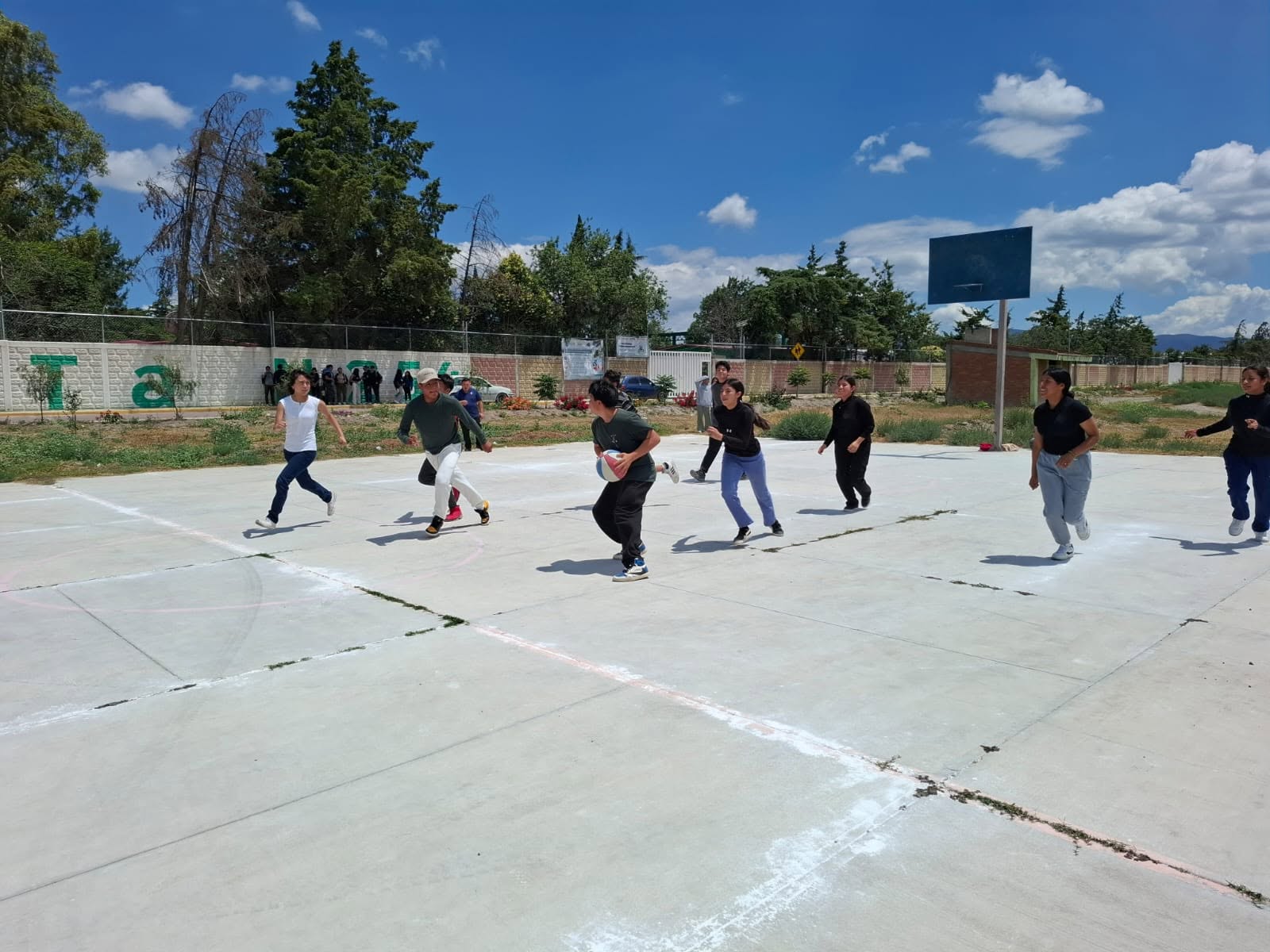 Áreas deportivas